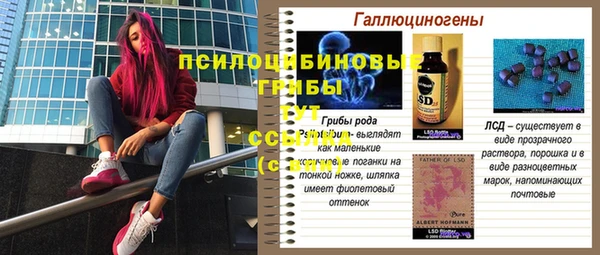 дурь Абдулино