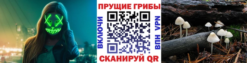 Псилоцибиновые грибы мицелий Карталы