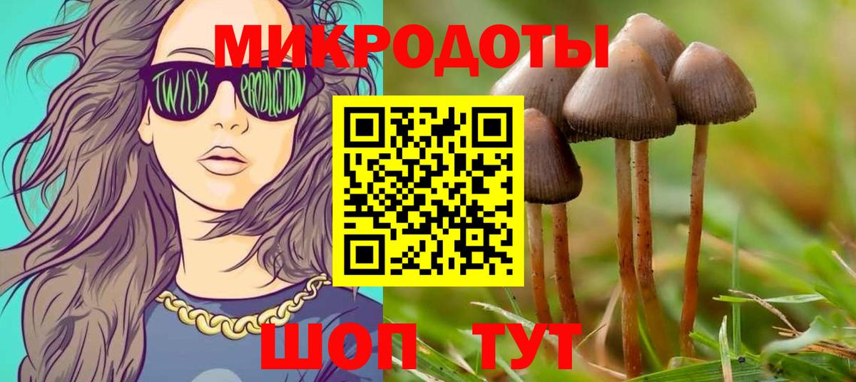 Карталы  Псилоцибиновые грибы Psilocybe  Вход с VPN  Галлюциногенные грибы мицелий 